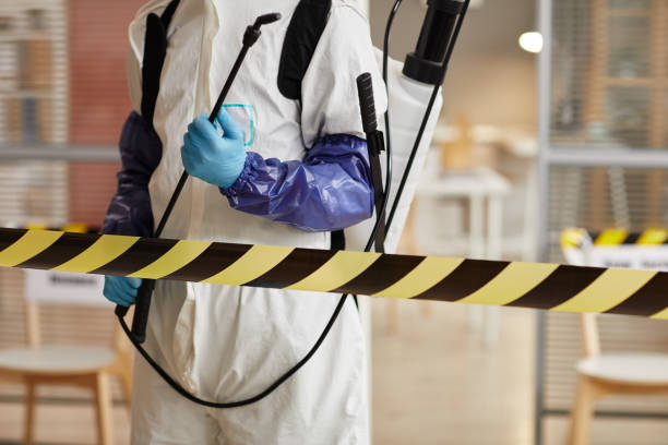 Professional Hoarding Cleanup technician working in Colebrook, NH